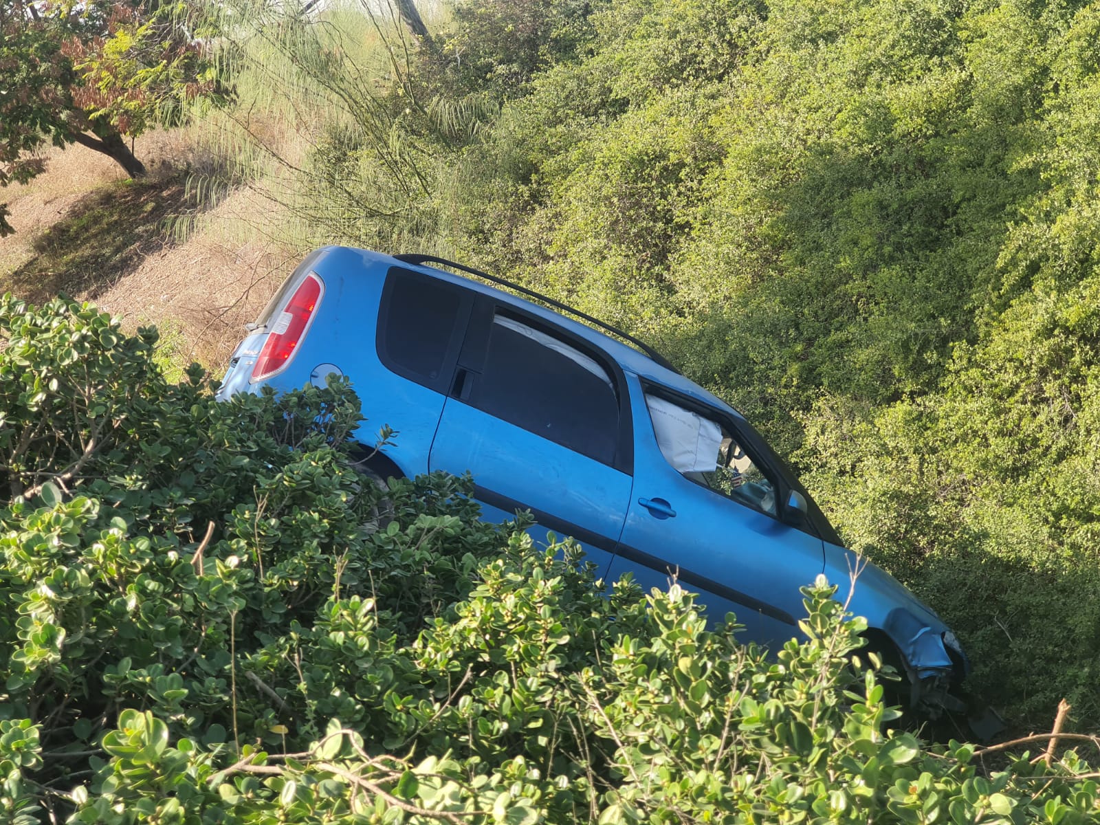 WhatsApp Image 2021-12-11 at 12.41.42 PM.jpeg